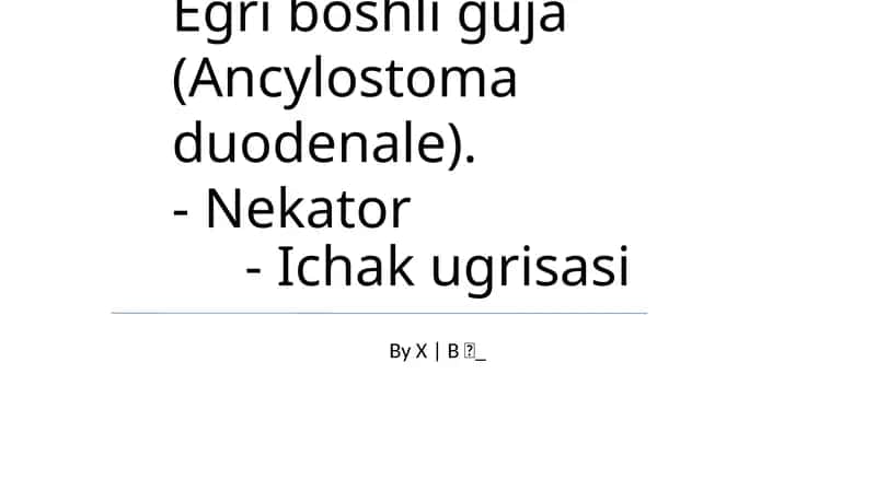 Egri boshli guja (Ancylostoma duodenale)