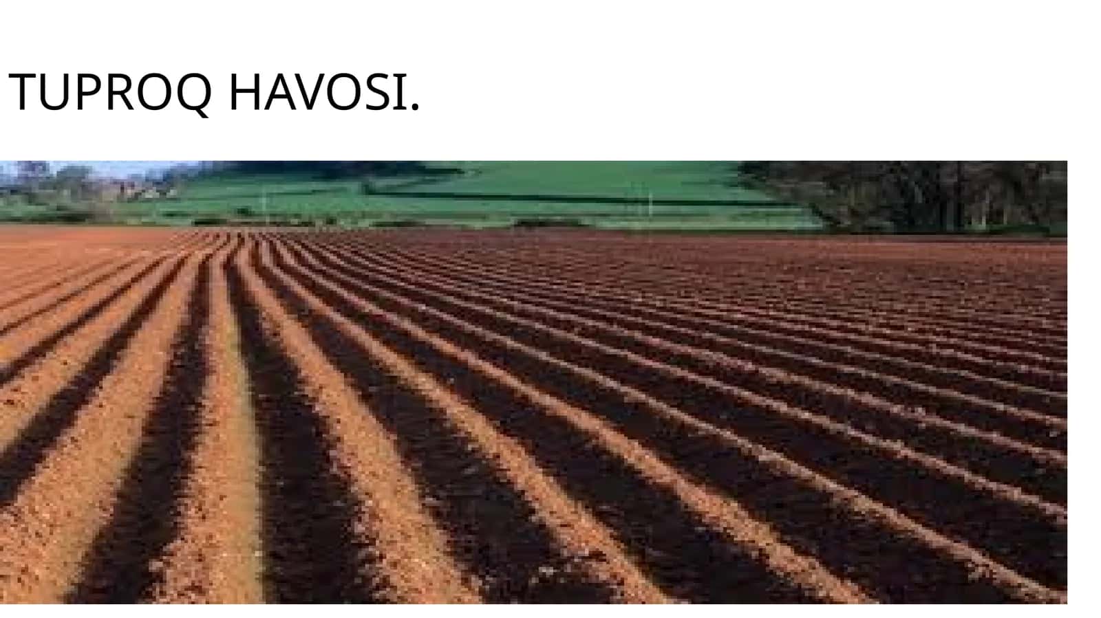 TUPROQ HAVOSI