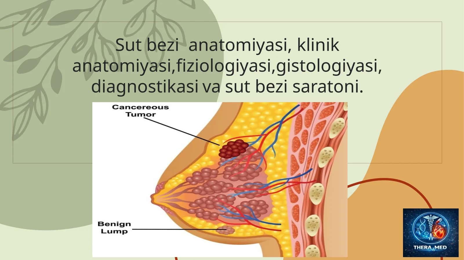 Sut bezi anatomiyasi