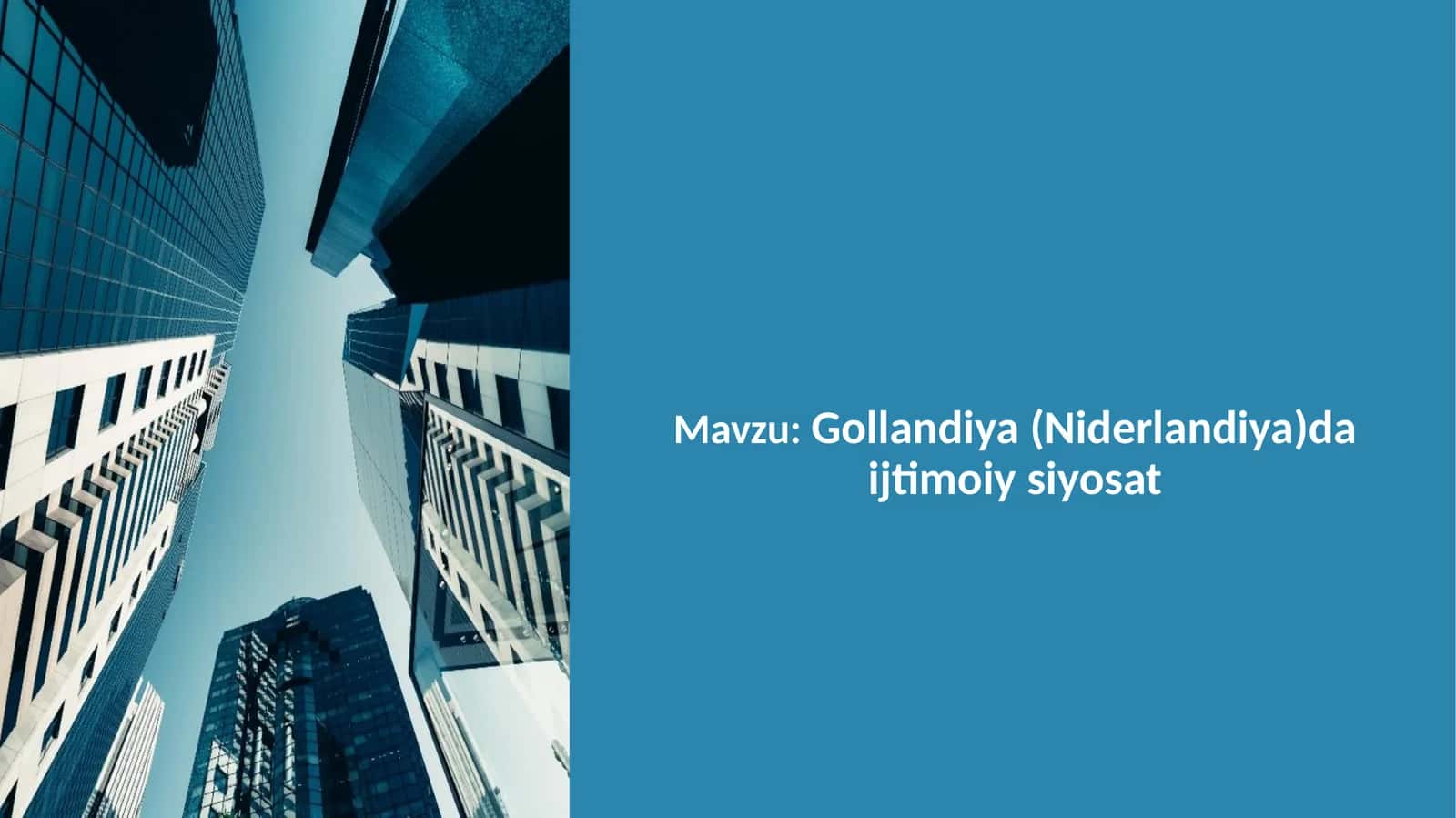 Gollandiya (Niderlandiya)da ijtimoiy siyosat