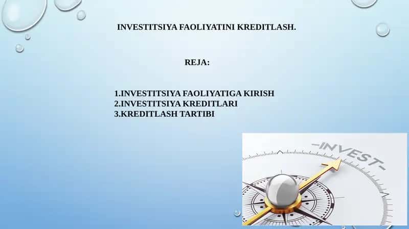INVESTITSIYA FAOLIYATINI KREDITLASH