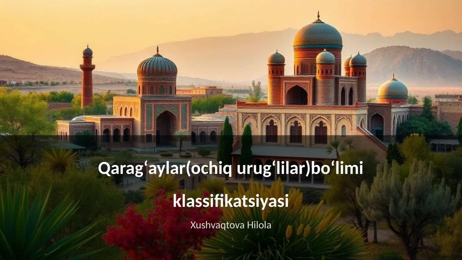 Qaragʻaylar(ochiq urugʻlilar)boʻlimi klassifikatsiyasi