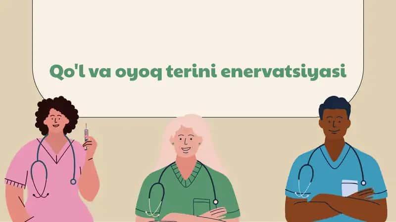 Qo'l va oyoq terini enervatsiyasi