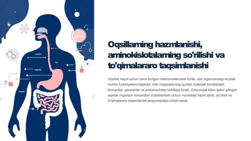 Oqsillarning hazmlanishi biokimyosi, aminokislotalarning so'rilishi vа
to'qimalararo taqsimlanishi.
