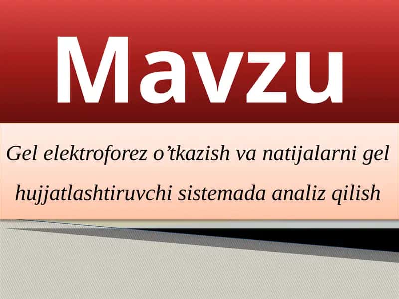 Gelelektroforezo'tkazish vanatijalarni gel hujjatlashtiruvchi sistemada analiz qilish