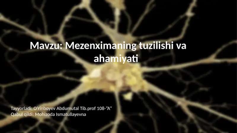 Mezenximaningtuzilishi va ahamiyati