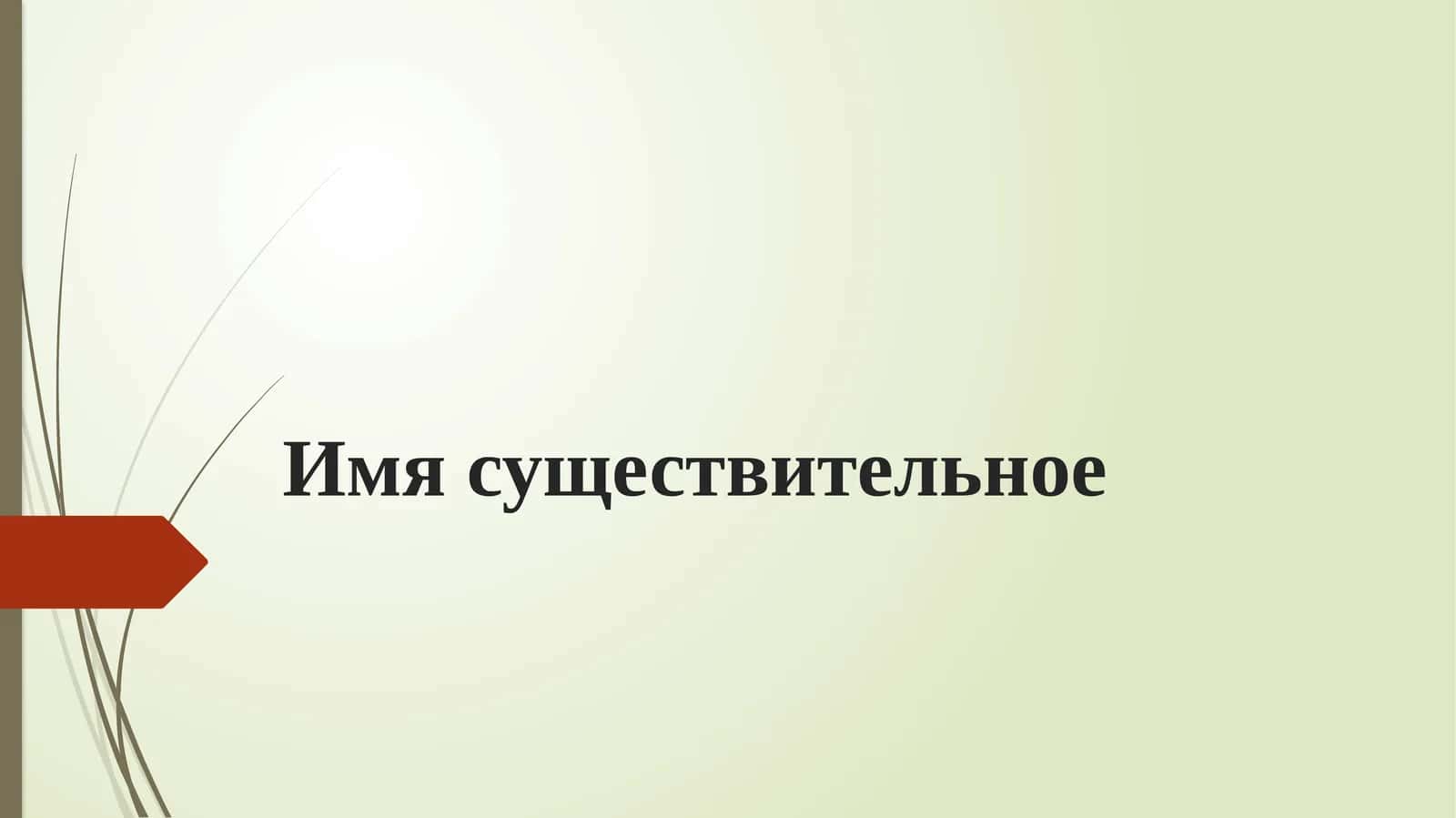 Имя существительное
