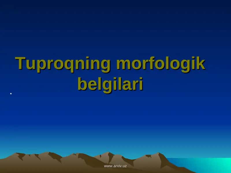 Tuproqning morfologik belgilari