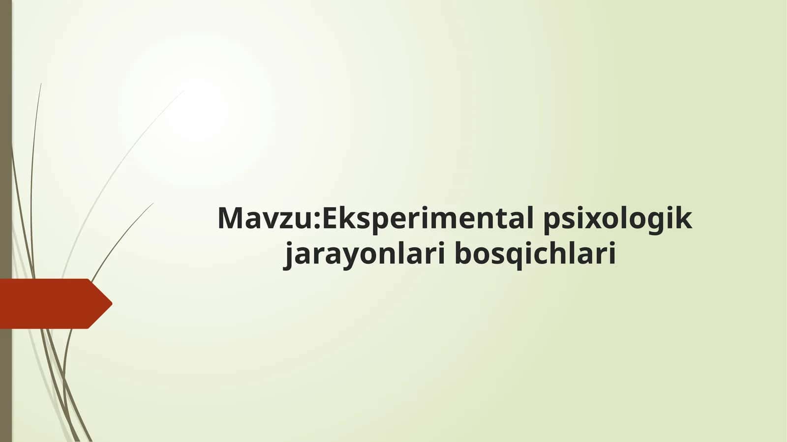 Eksperimentalpsixologik jarayonlaribosqichlari mavzusida tayyor taqdimot