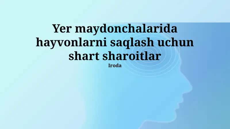 Yer maydonchalarida hayvonlarni saqlash uchun shart sharoitlar