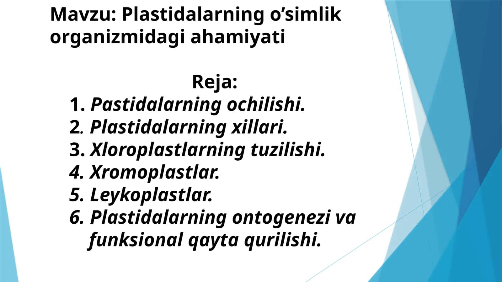Plastidalarning o’simlik organizmidagi ahamiyati