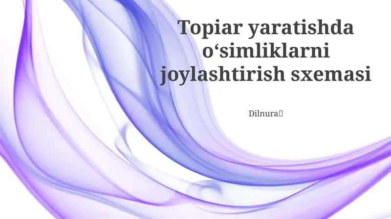 Topiar yaratishda o‘simliklarni joylashtirish sxemasi