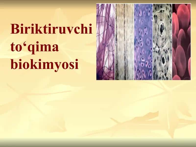 Biokimyo fanidan Biriktiruvchi toʻqima biokimyosi mavzusida prezentatsiya toʻliq