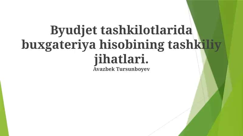 Byudjet tashkilotlarida buxgateriya hisobining tashkiliy jihatlari