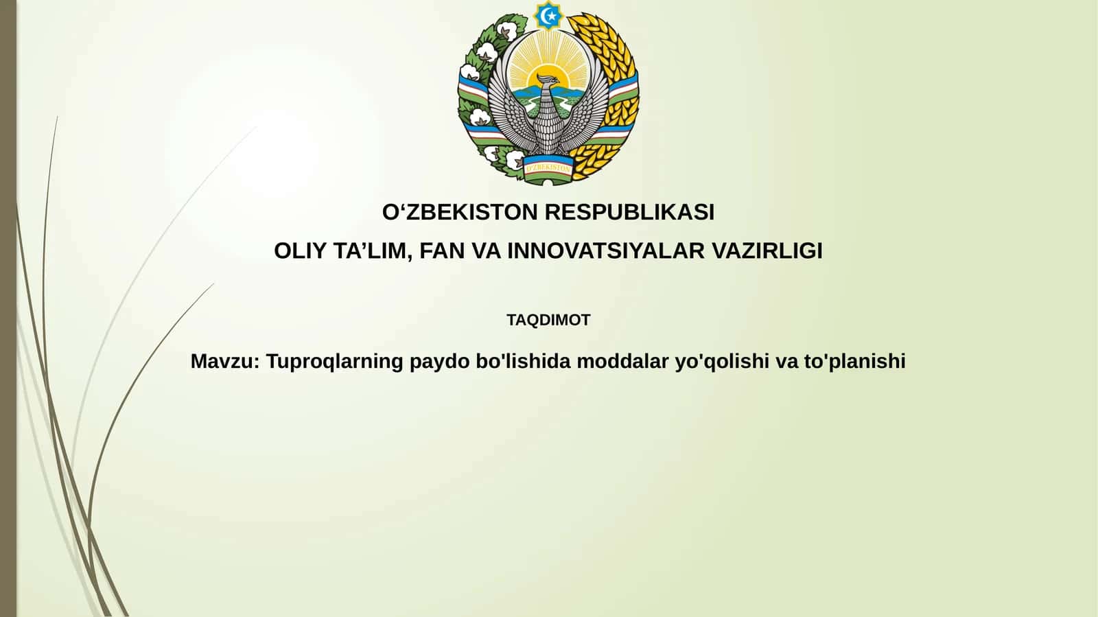 Tuproqlarning paydo bo'lishi