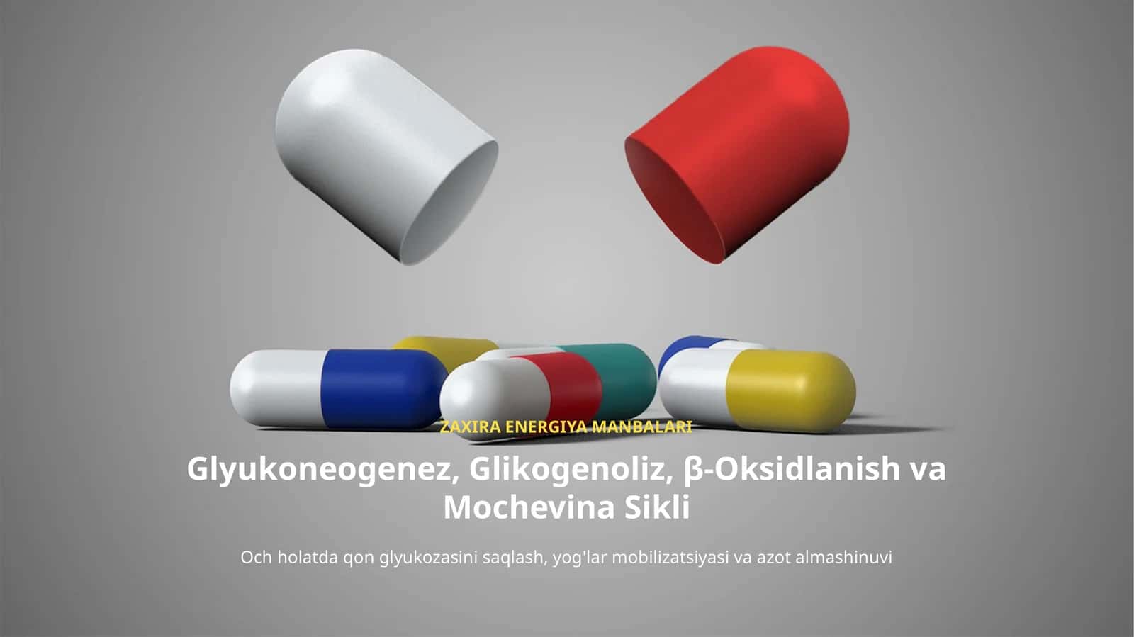 Zaxira Energiya Manbalari: Glikogen va Triglitseridlar