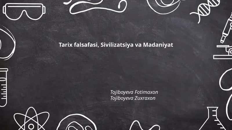 Tarix falsafasi, Sivilizatsiya va Madaniyat