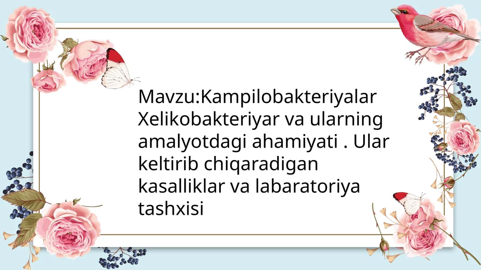 Kampilobakteriyalar va xelikobakteriyalarningumumiy tavsifi