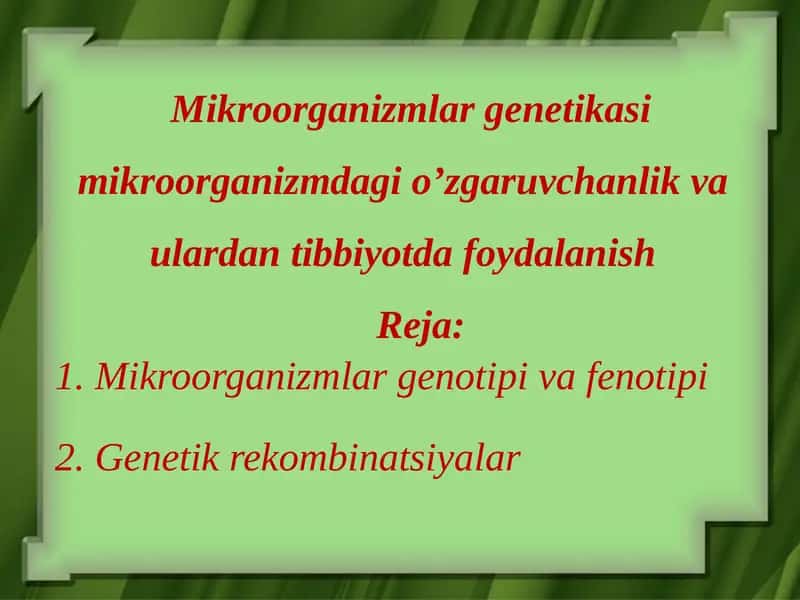 Mikroorganizmlar genetikasi