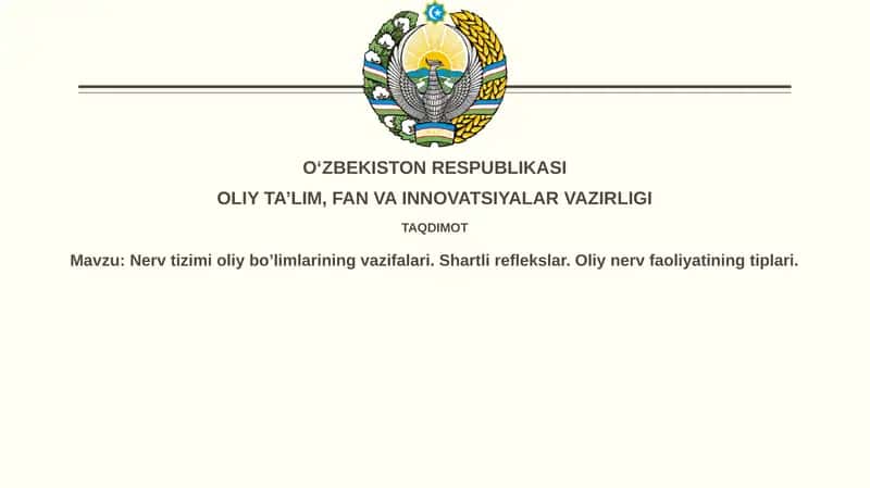 Nerv sistemasi funktsiyalari