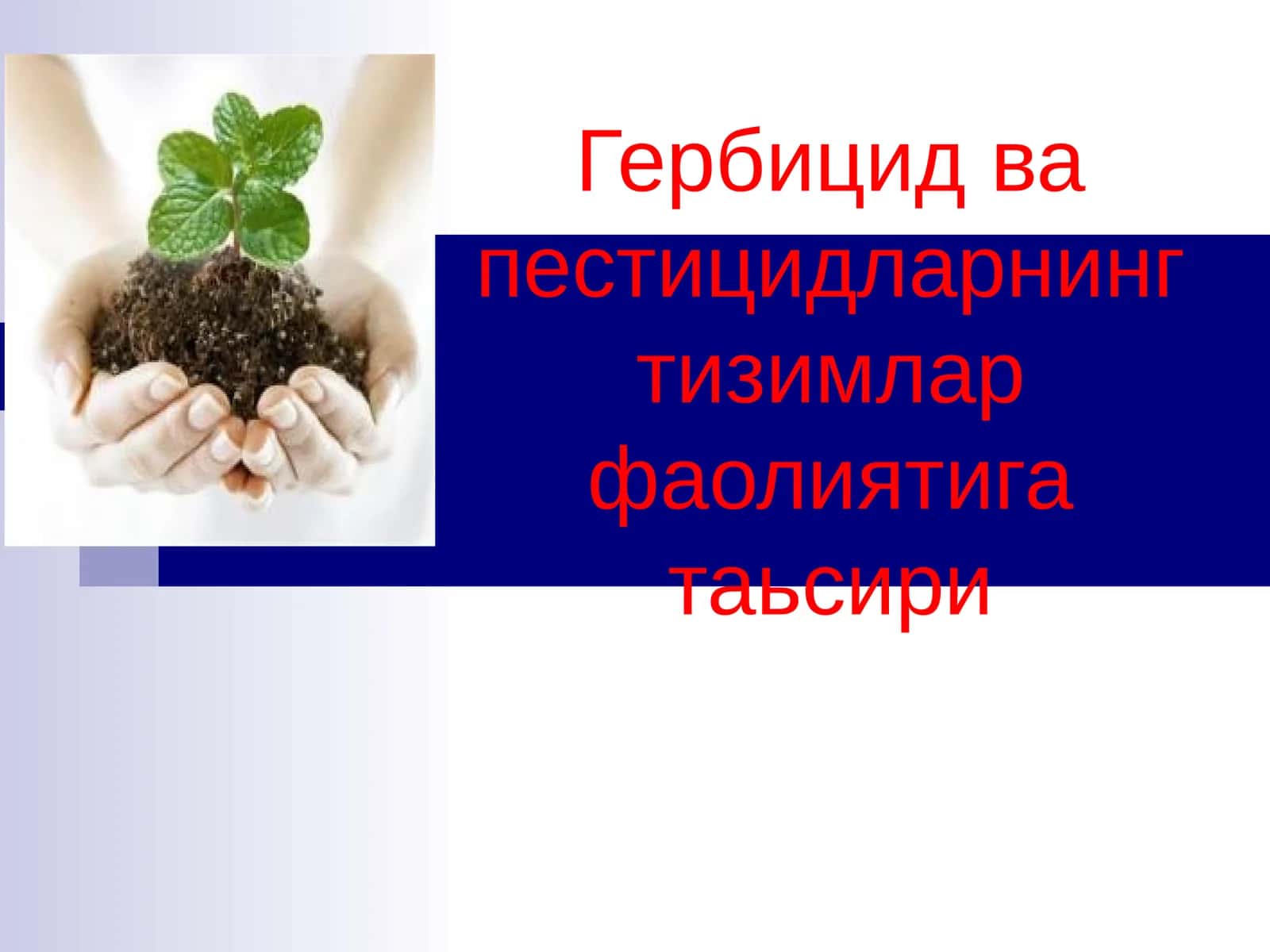 Гербицид ва пестицидларнинг тизимлар фаолиятига таьсири