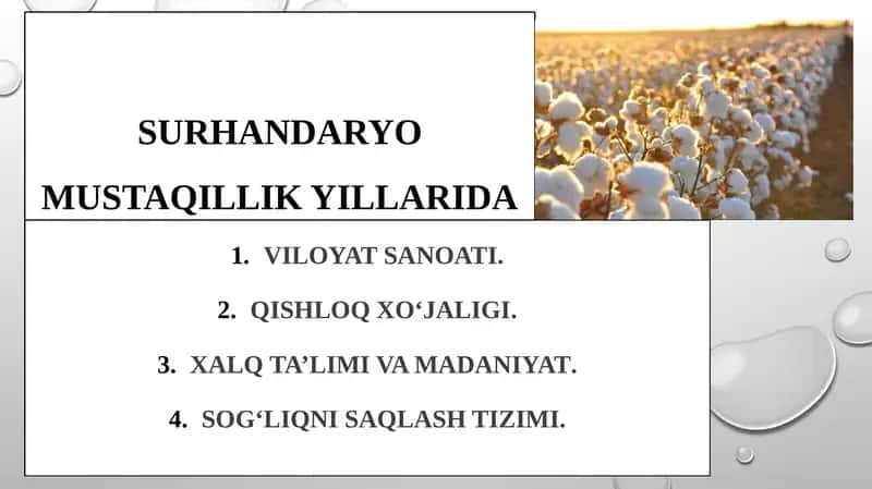 Sovet davridan keyingi yillarida Surxondaryo viloyati sanoati