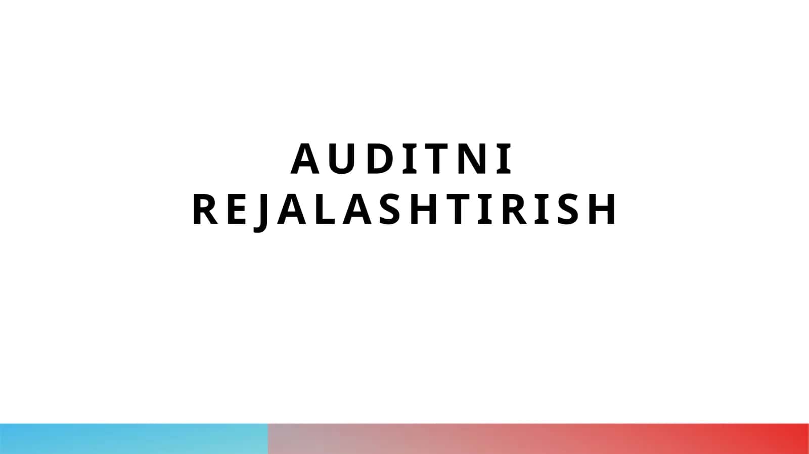 Auditni rejalashtirish
