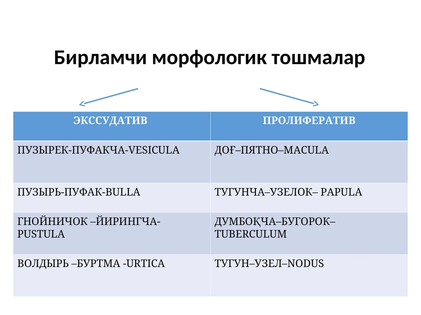 Доғ (macula)