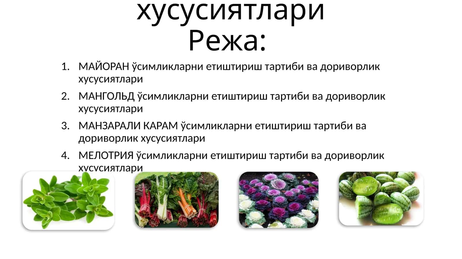 Маъруза-4