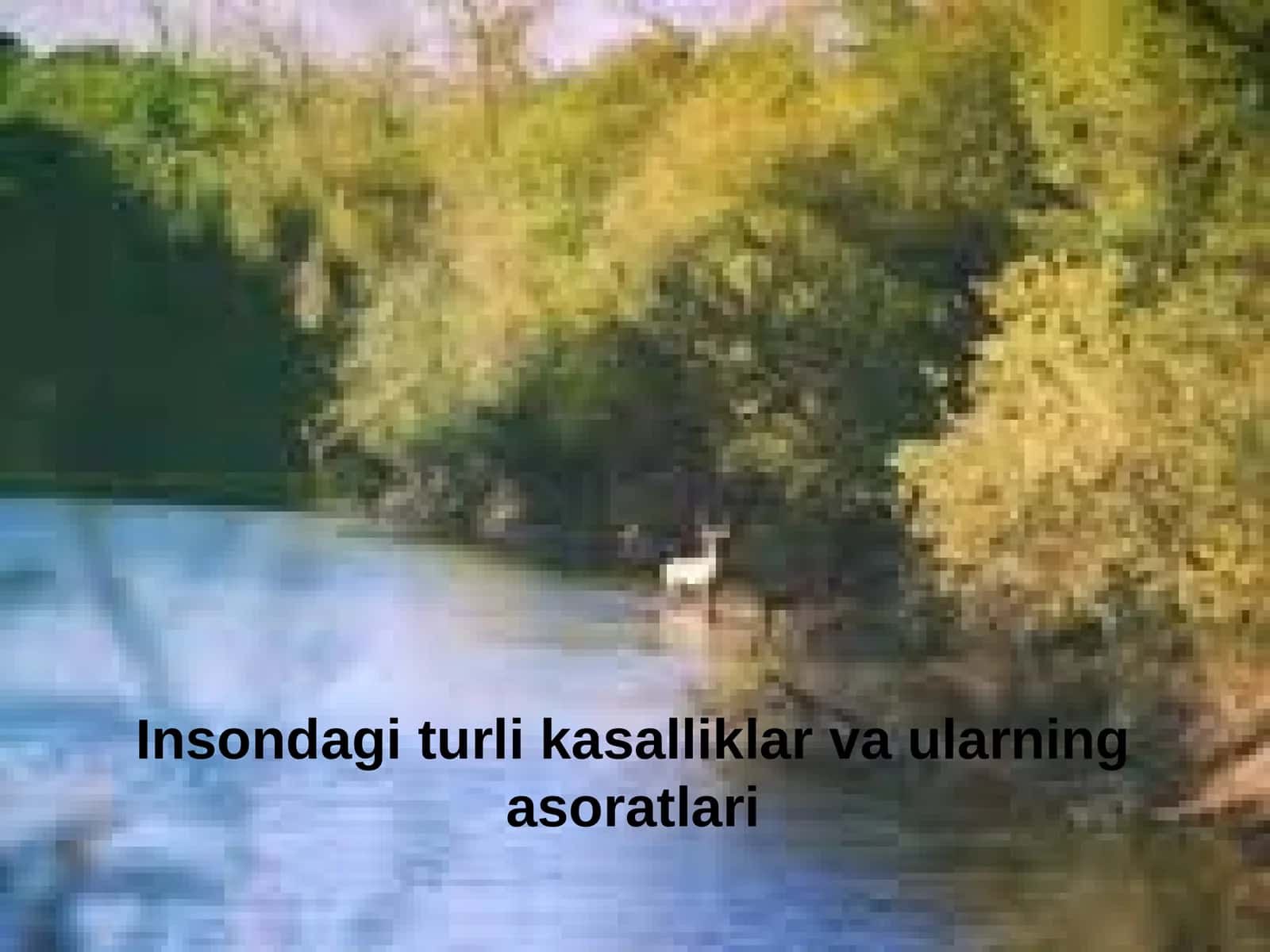 Insondagi turli kasalliklar va ularning asoratlari