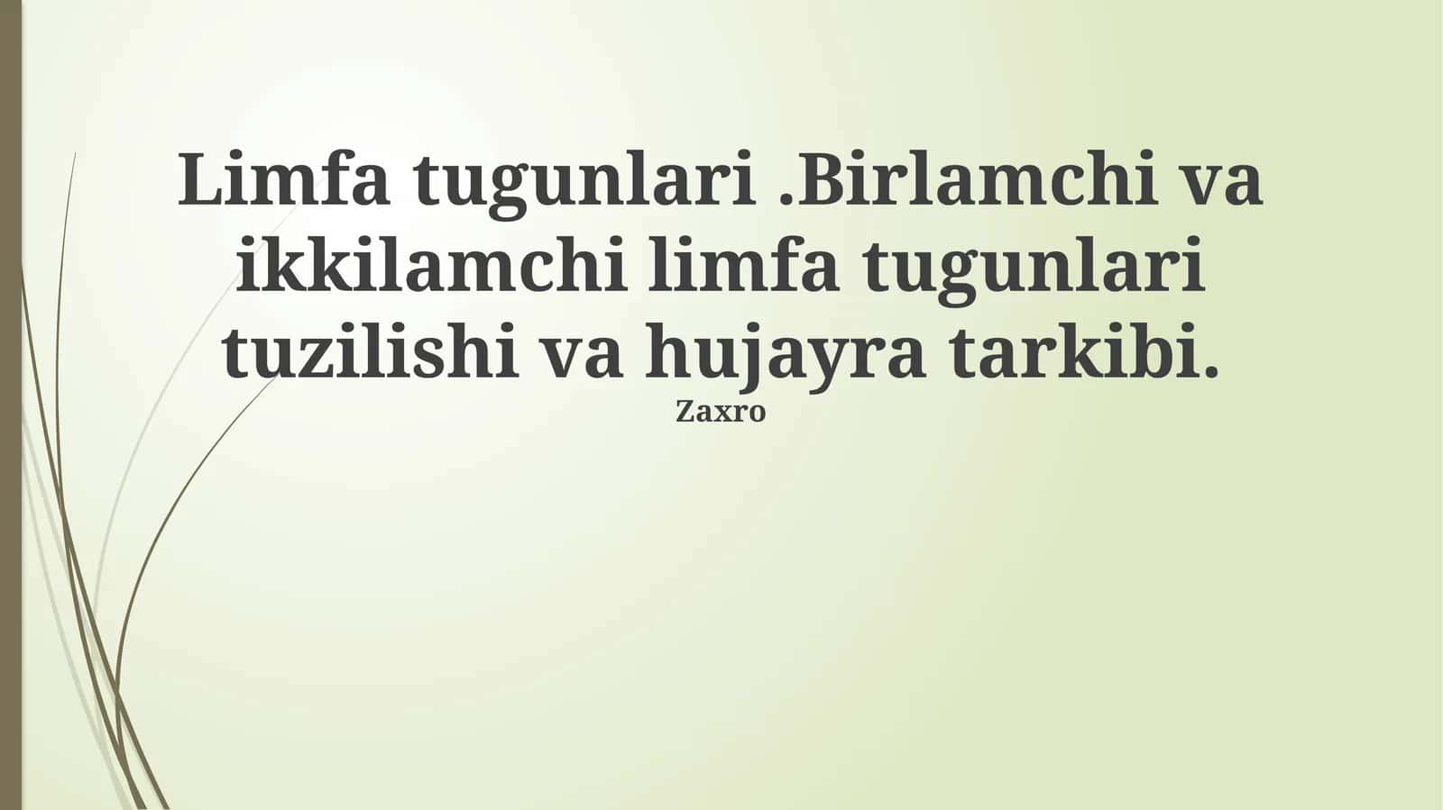 Limfa tugunlari.Birlamchi va ikkilamchi limfa tugunlari tuzilishi va hujayra tarkibi