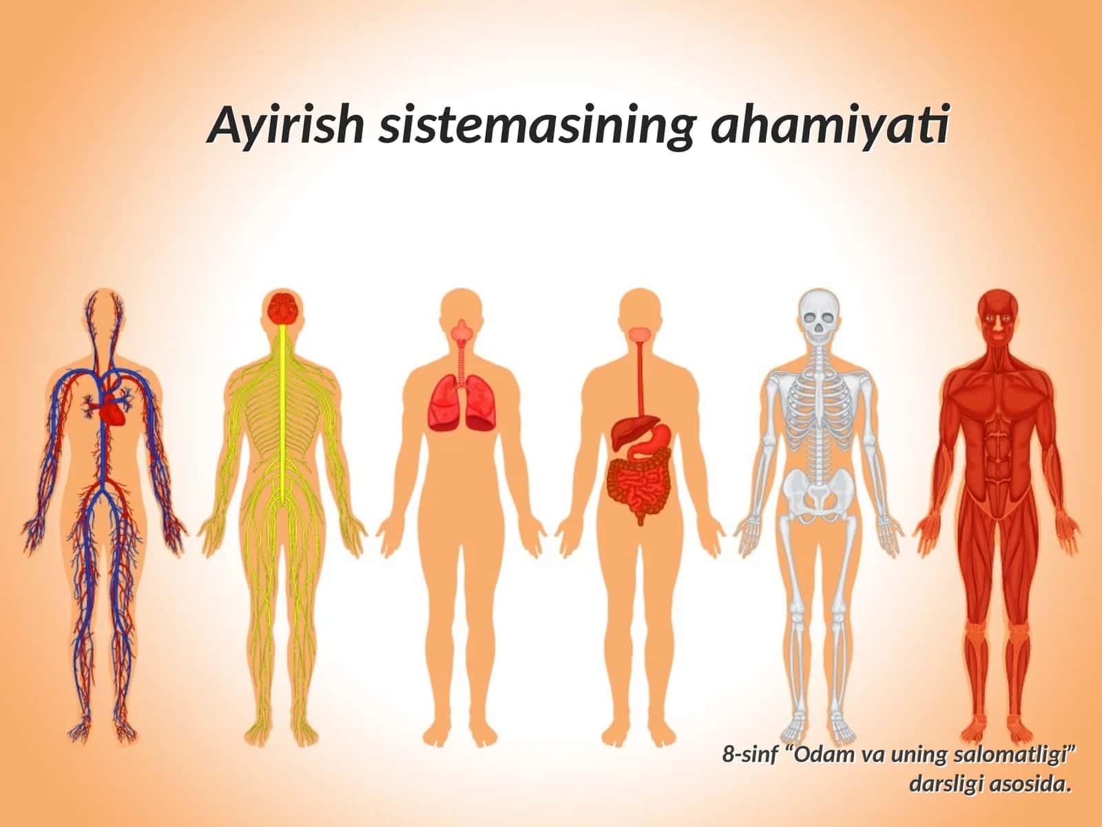 Ayirish sistemasining ahamiyati