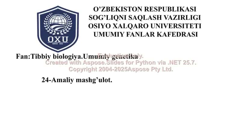 Xivchinlilar haqida qisqacha malumot