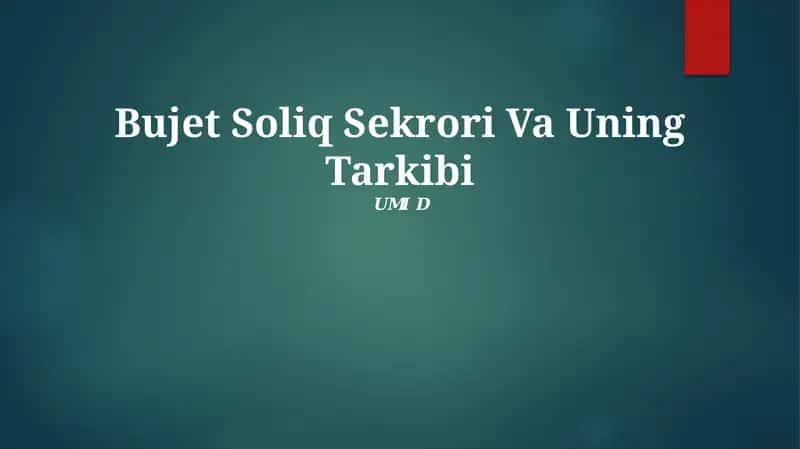 Bujet Soliq Sektori Va Uning Tarkibi