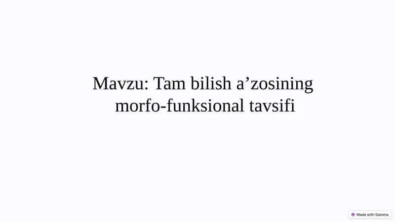 Tambilishaʼzosining morfo-funksionaltavsifi