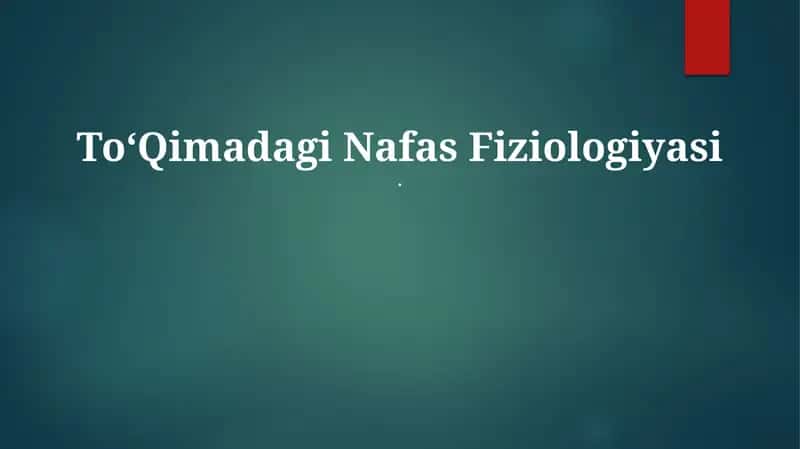 ToʻQimadagi Nafas Fiziologiyasi