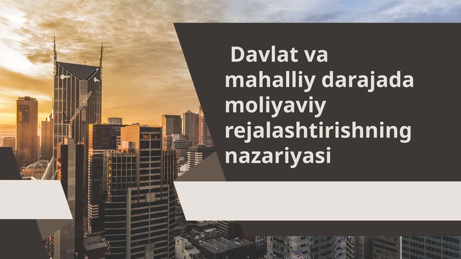 Davlat va mahalliy darajada moliyaviy rejalashtirishning nazariyasi
