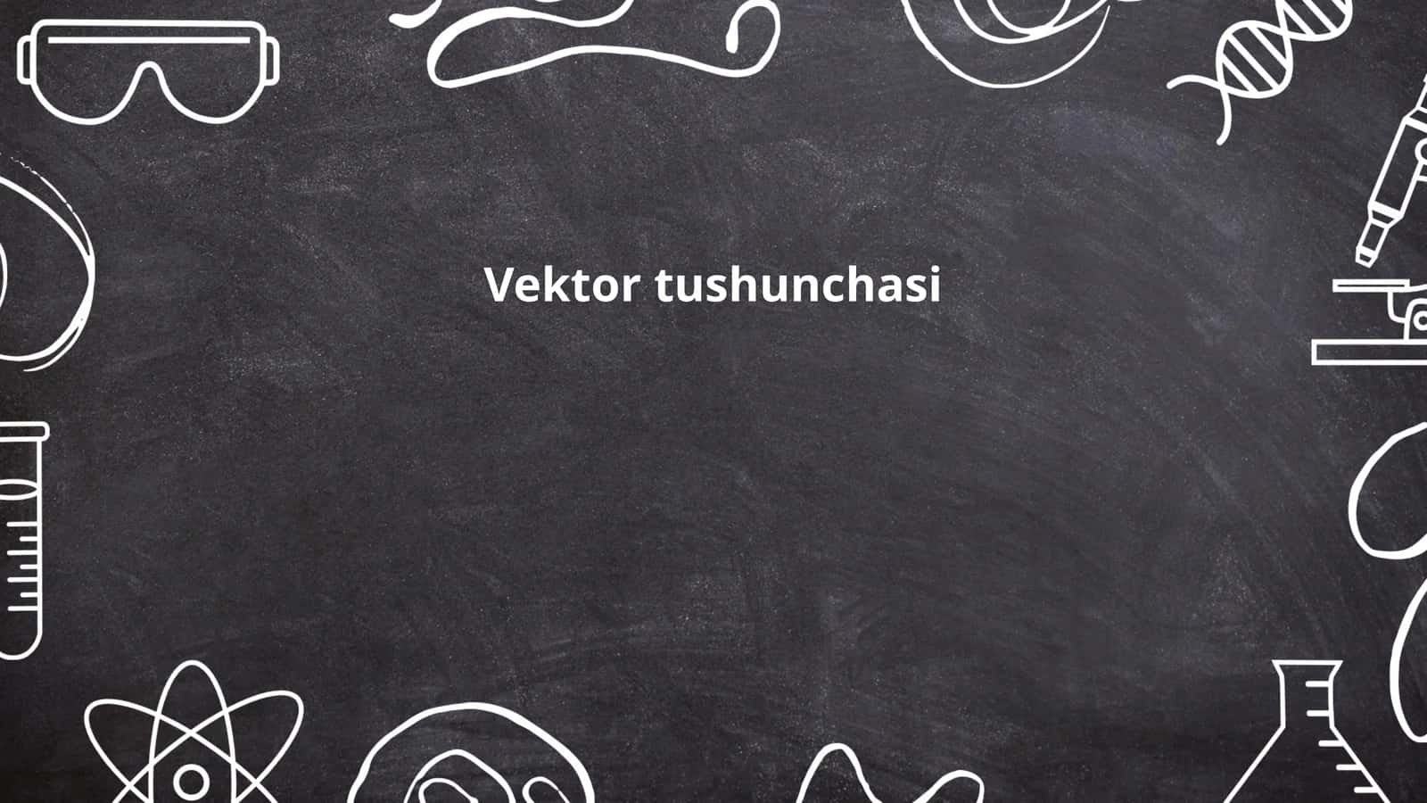 Vektor tushunchasi
