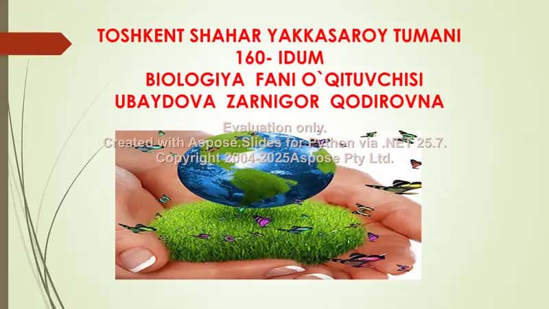 Odamning Ovqat Hazm Qilish Sistemasi