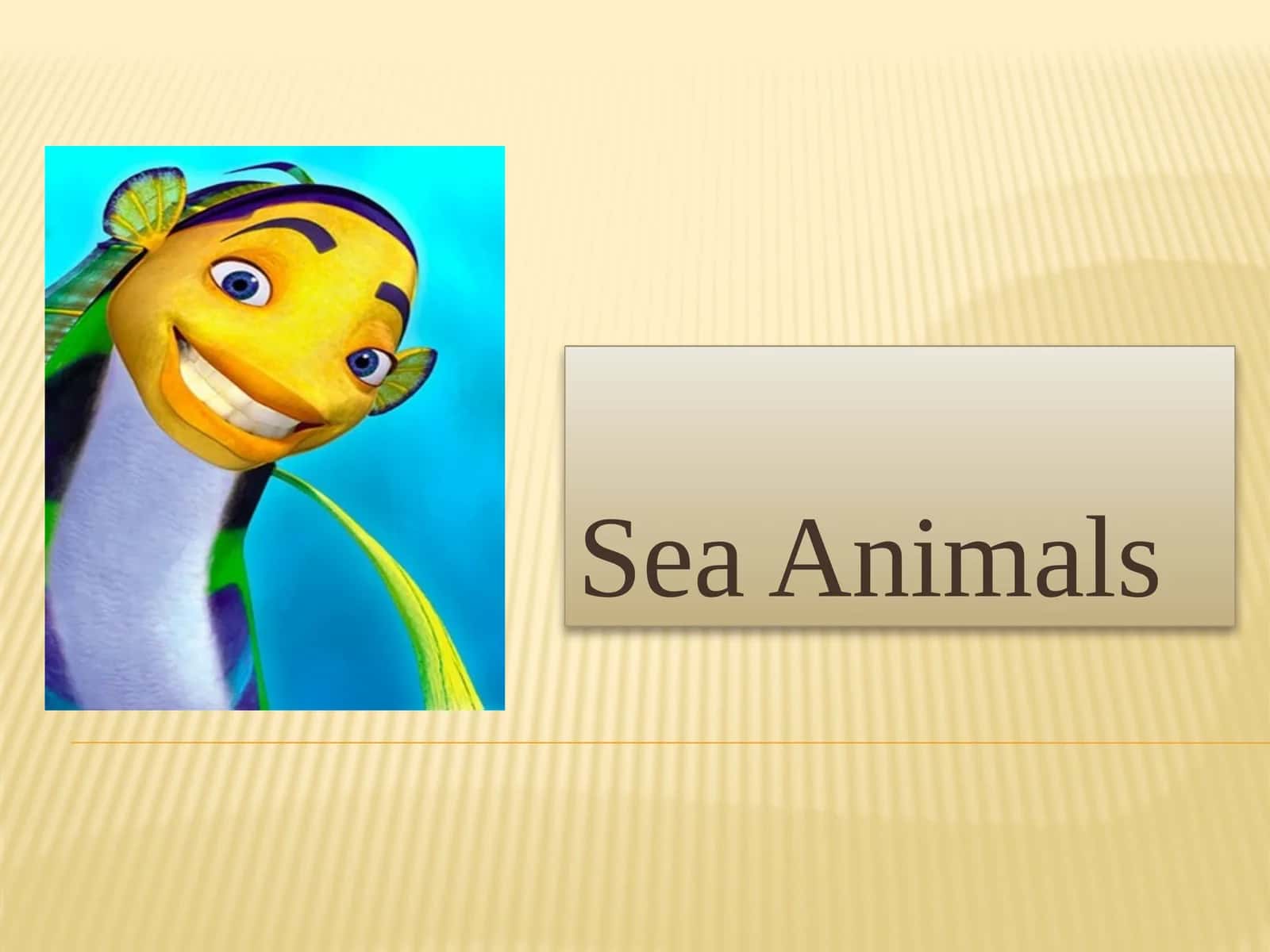 FAVORITE Sea Animals