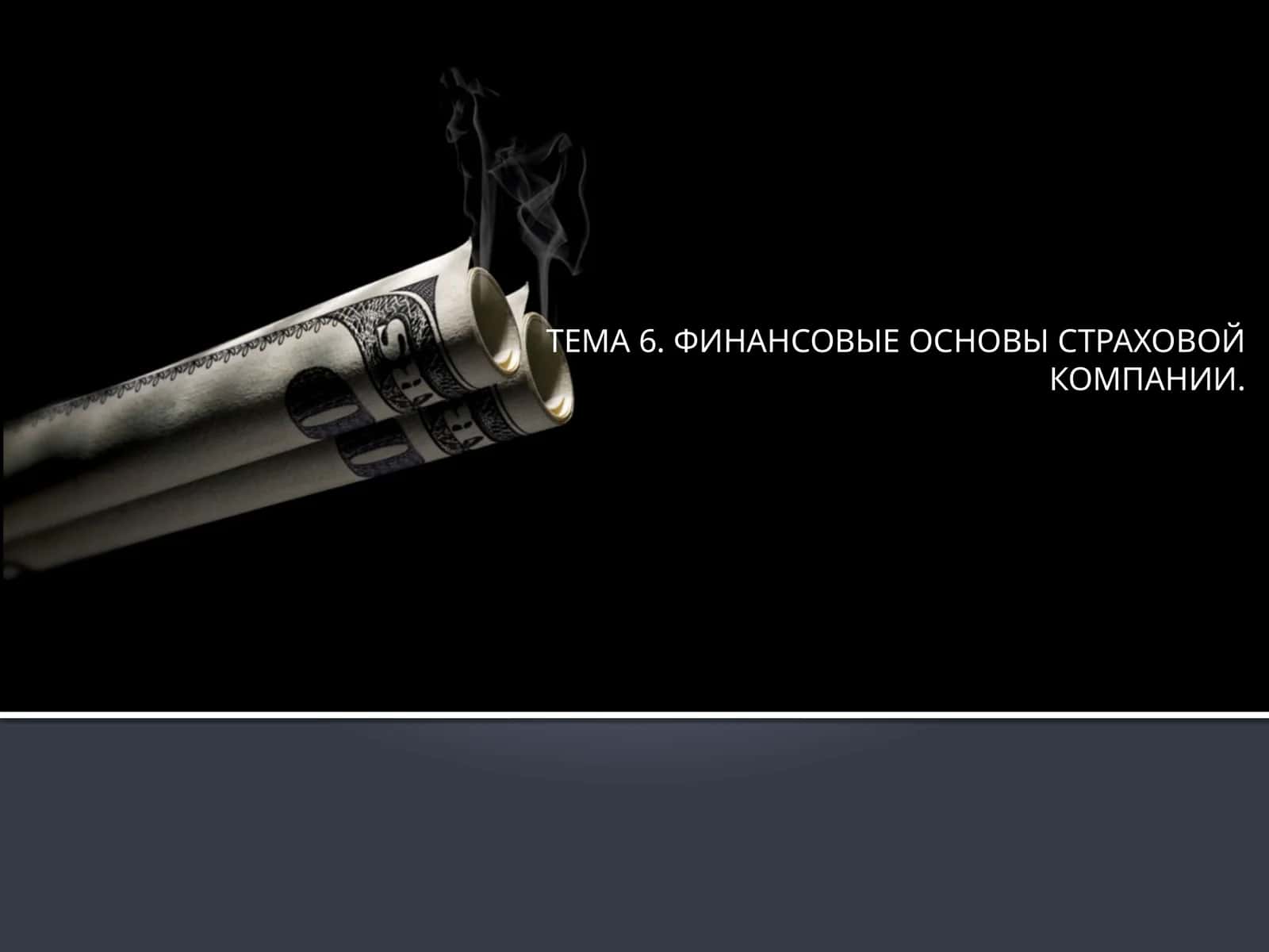 ФИНАНСОВЫЕ ОСНОВЫ СТРАХОВОЙ КОМПАНИИ