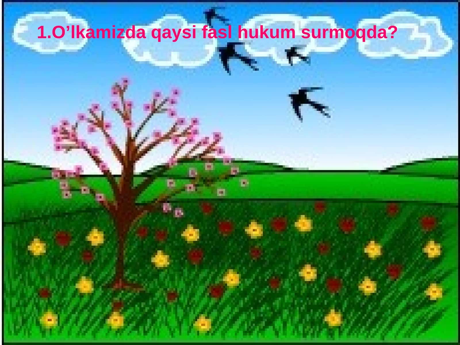 Keksalarni e’zozlash yili