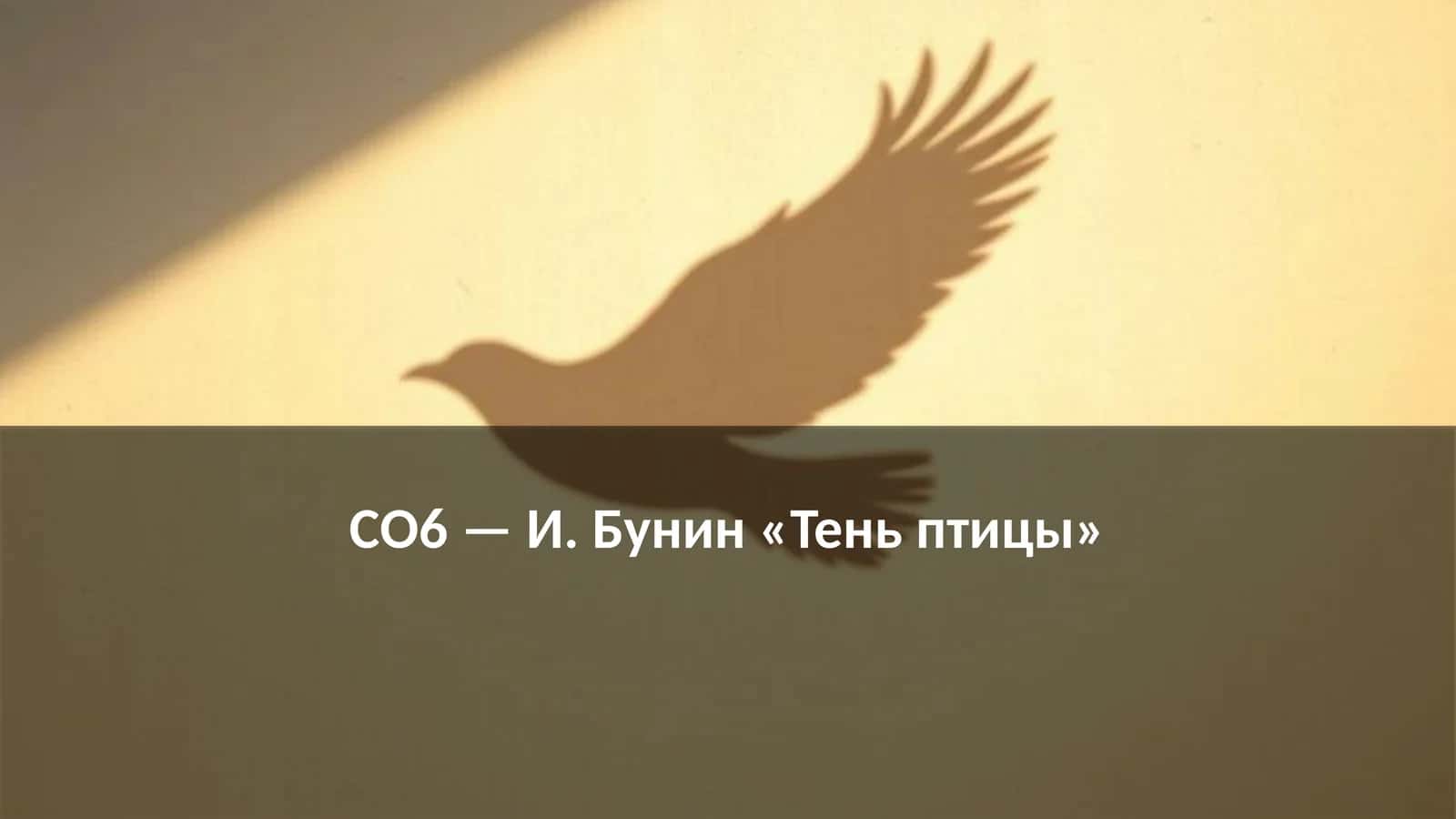 И. Бунин «Тень птицы»