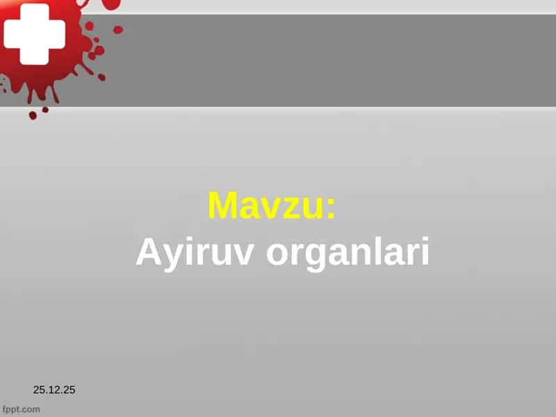 Ayiruv organlari