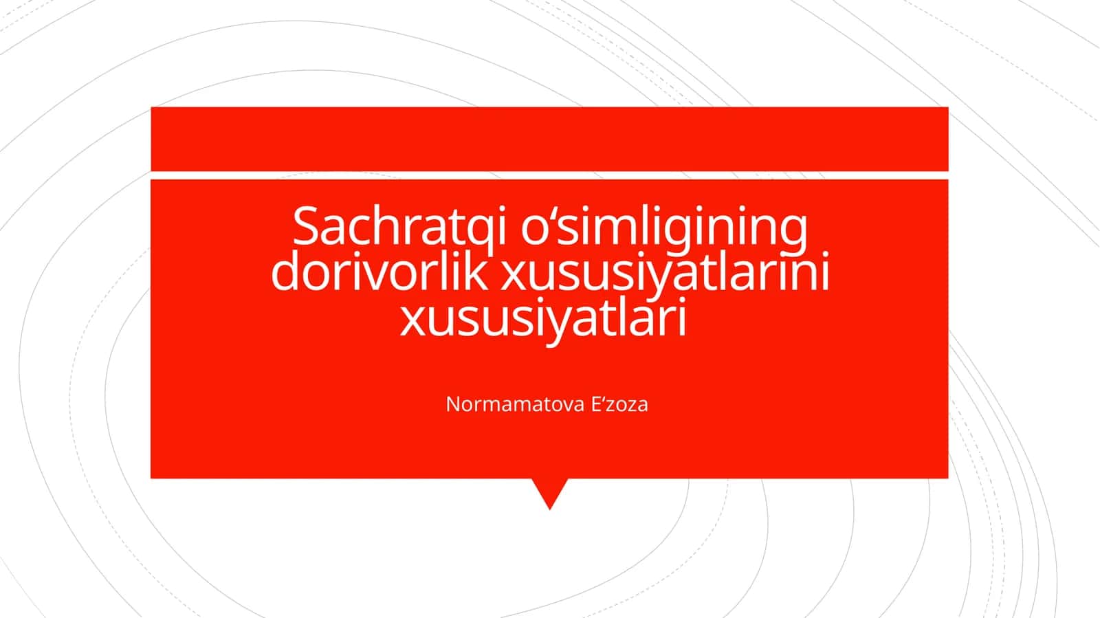 Sachratqi o‘simligining dorivorlik xususiyatlarini xususiyatlari