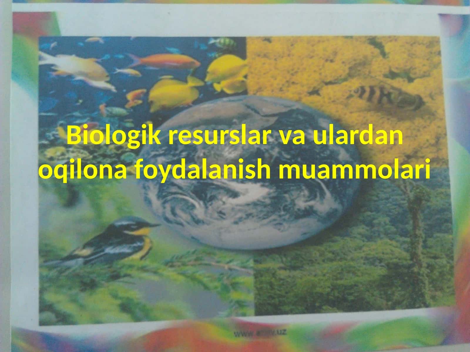 Biologik resurslarvaulardanoqilona foydalanish muammolari