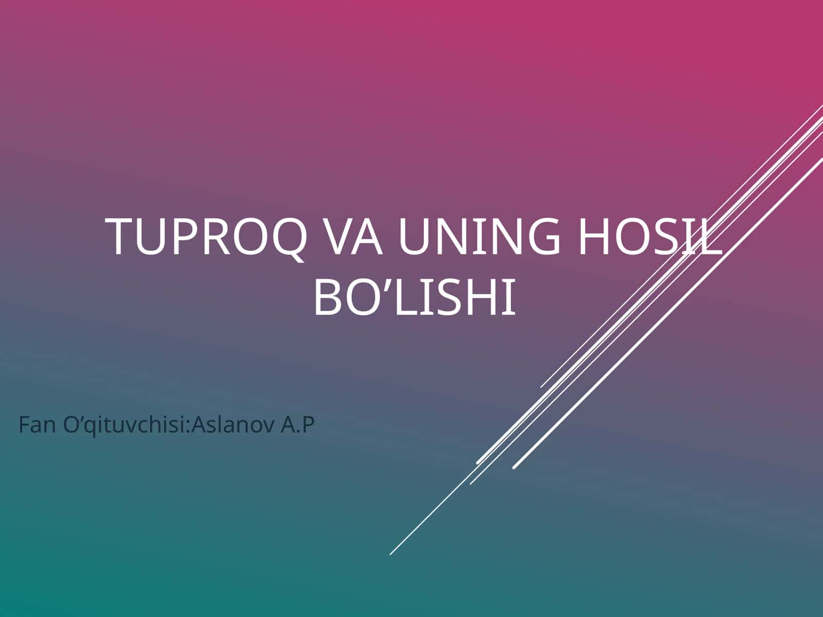 Tuproq va uning hosil bo’lishi