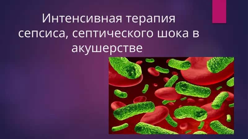 Интенсивная терапия сепсиса, септического шока в акушерстве