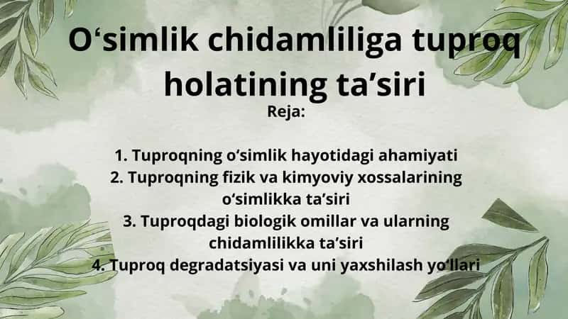 Oʻsimlik chidamliliga tuproq holatining taʼsiri