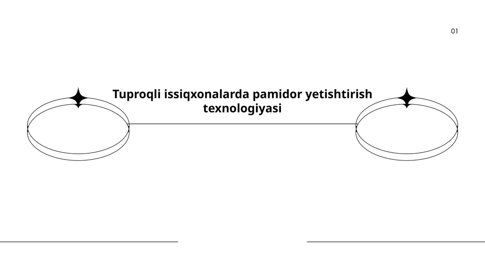 Tuproqli issiqxonalarda pamidor yetishtirish texnologiyasi